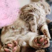 ヒメ日記 2025/02/18 22:46 投稿 あずさ 京都の痴女鉄道