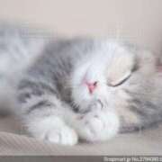 ヒメ日記 2025/02/22 23:16 投稿 あずさ 京都の痴女鉄道