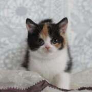 ヒメ日記 2025/02/25 22:56 投稿 あずさ 京都の痴女鉄道