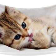 ヒメ日記 2025/02/26 22:36 投稿 あずさ 京都の痴女鉄道