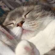 ヒメ日記 2025/03/04 22:48 投稿 あずさ 京都の痴女鉄道