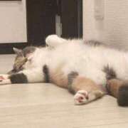 ヒメ日記 2025/03/05 23:16 投稿 あずさ 京都の痴女鉄道