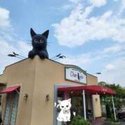 ヒメ日記 2025/03/17 18:16 投稿 あずさ 京都の痴女鉄道