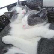 ヒメ日記 2025/04/03 22:57 投稿 あずさ 京都の痴女鉄道