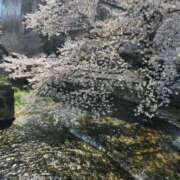 ヒメ日記 2025/04/13 07:26 投稿 あずさ 京都の痴女鉄道