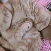 ヒメ日記 2025/04/15 22:16 投稿 あずさ 京都の痴女鉄道