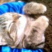 ヒメ日記 2025/05/06 20:58 投稿 あずさ 京都の痴女鉄道