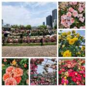 ヒメ日記 2025/05/22 19:16 投稿 あずさ 京都の痴女鉄道