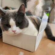 ヒメ日記 2025/06/02 18:18 投稿 あずさ 京都の痴女鉄道