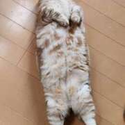 ヒメ日記 2025/06/16 12:26 投稿 あずさ 京都の痴女鉄道