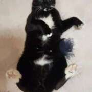 ヒメ日記 2025/06/18 21:33 投稿 あずさ 京都の痴女鉄道