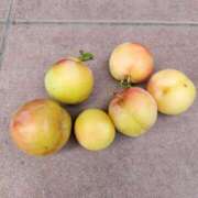 ヒメ日記 2025/06/23 14:16 投稿 あずさ 京都の痴女鉄道