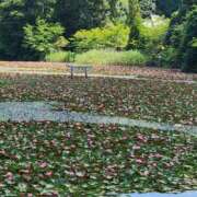 ヒメ日記 2025/07/22 17:26 投稿 あずさ 京都の痴女鉄道