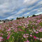 ヒメ日記 2025/10/13 19:26 投稿 あずさ 京都の痴女鉄道
