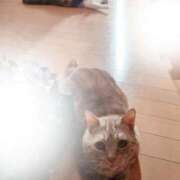 あずさ おやすみ 京都の痴女鉄道