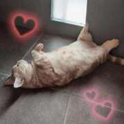 ヒメ日記 2026/01/28 22:29 投稿 あずさ 京都の痴女鉄道