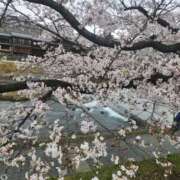 ヒメ日記 2026/04/01 09:26 投稿 あずさ 京都の痴女鉄道