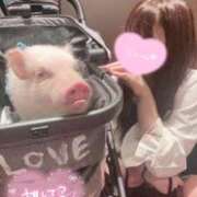 ヒメ日記 2025/12/28 18:43 投稿 ゆの スーパークリスタル