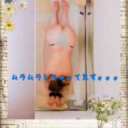 ヒメ日記 2025/05/08 07:35 投稿 つぐみ 横浜熟女MAX