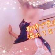 ヒメ日記 2025/09/03 06:45 投稿 つぐみ 横浜熟女MAX