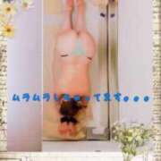 ヒメ日記 2026/03/01 22:25 投稿 つぐみ 横浜熟女MAX