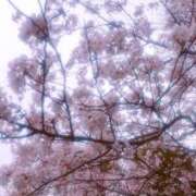 ヒメ日記 2026/04/03 12:55 投稿 つぐみ 横浜熟女MAX