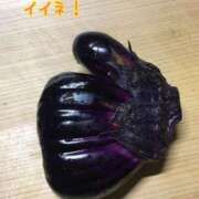 ヒメ日記 2026/04/16 08:05 投稿 つぐみ 横浜熟女MAX