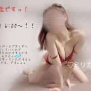 ヒメ日記 2024/12/19 00:42 投稿 ミリカ リッチドールなんば店