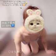 ヒメ日記 2025/04/16 19:21 投稿 ミリカ リッチドールなんば店