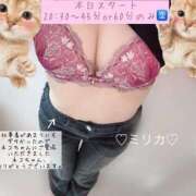 ヒメ日記 2025/11/21 20:26 投稿 ミリカ リッチドールなんば店