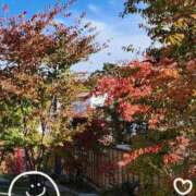 ヒメ日記 2025/11/01 17:58 投稿 けい 千姫(道後)