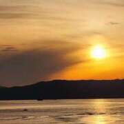 ヒメ日記 2025/11/29 10:42 投稿 けい 千姫(道後)