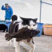 ヒメ日記 2025/02/23 01:09 投稿 新垣 ゆあ 一夜妻