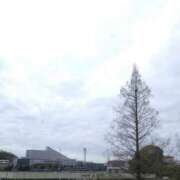 ヒメ日記 2025/04/13 21:49 投稿 新垣 ゆあ 一夜妻