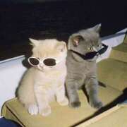 ヒメ日記 2025/05/19 11:39 投稿 新垣 ゆあ 一夜妻