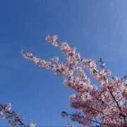 ヒメ日記 2026/03/28 16:49 投稿 新垣 ゆあ 一夜妻