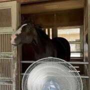 ヒメ日記 2025/11/02 16:12 投稿 ゆきね OKINI立川