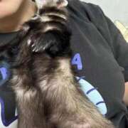 ヒメ日記 2025/11/19 15:22 投稿 ゆきね OKINI立川