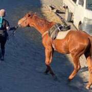 ヒメ日記 2025/12/07 16:42 投稿 ゆきね OKINI立川