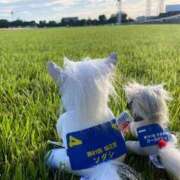 ヒメ日記 2026/01/18 17:51 投稿 ゆきね OKINI立川