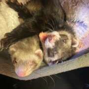 ヒメ日記 2026/01/20 22:02 投稿 ゆきね OKINI立川