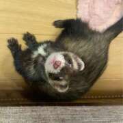 ヒメ日記 2026/01/25 18:42 投稿 ゆきね OKINI立川