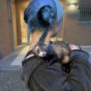 ヒメ日記 2025/08/13 23:27 投稿 ゆきね OKINI八王子