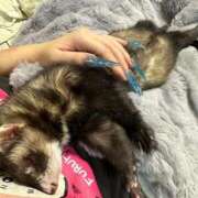 ヒメ日記 2025/10/12 14:37 投稿 ゆきね OKINI八王子