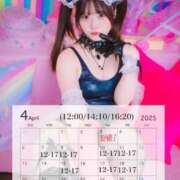 ヒメ日記 2025/03/17 00:32 投稿 みりあ セグレターリオ