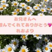 ヒメ日記 2024/02/03 19:23 投稿 れお さくらん