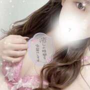 ヒメ日記 2025/06/23 14:15 投稿 にの 奥様さくら梅田店