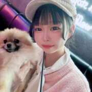 マオ 💖 ロボットデリヘル