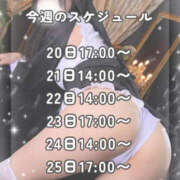 ヒメ日記 2026/10/19 23:56 投稿 マオ ロボットデリヘル