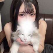 ヒメ日記 2025/03/19 22:16 投稿 ユメ マテリアル